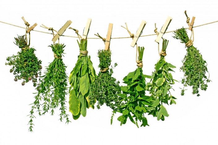 Herbs on line