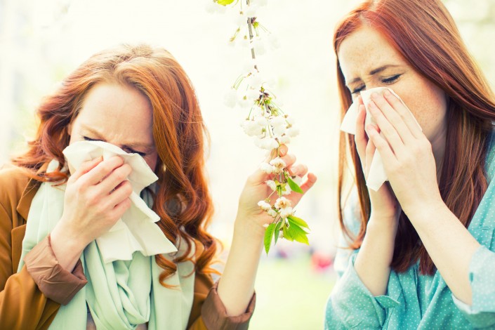 zwei Frauen beim Schnutzen Allergie Blte