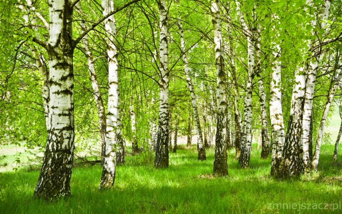 Fotolia_110550499_XXLmale