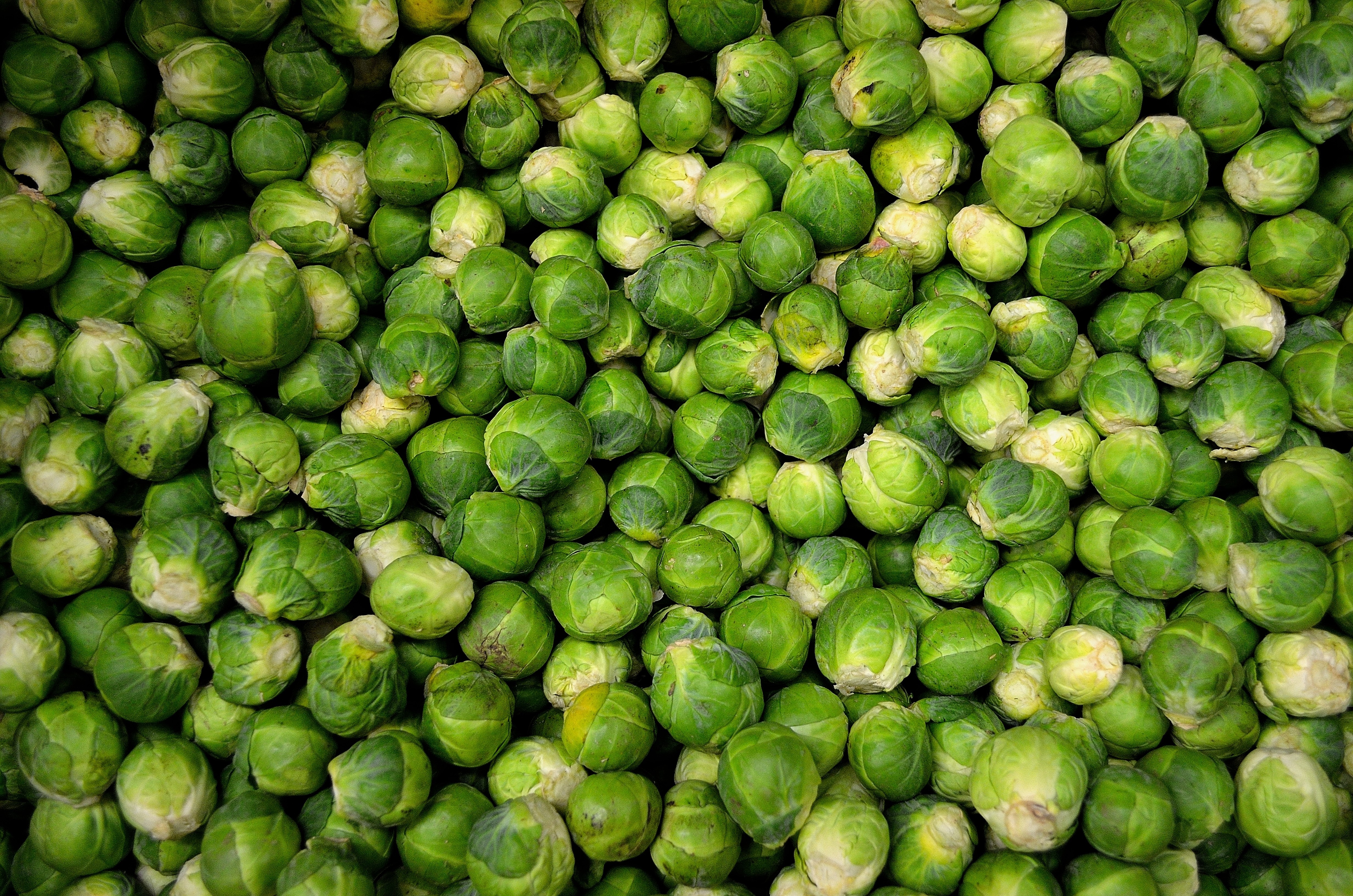 brussels-sprouts-sprouts-cabbage-grocery-41171