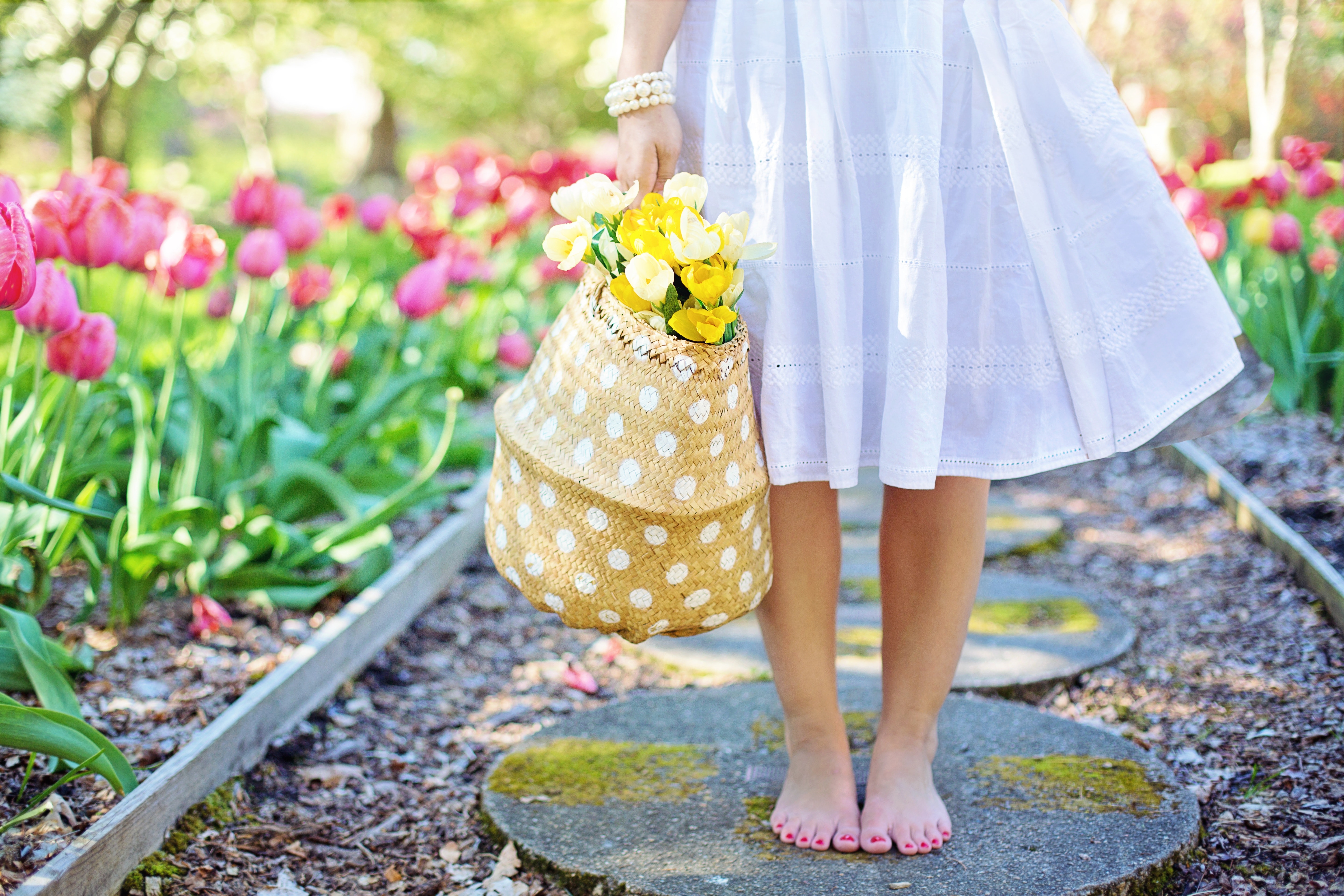 barefoot-basket-blooming-413707