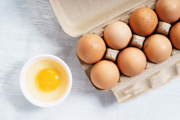 egg