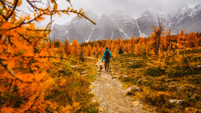 person-walking-on-path-3225479