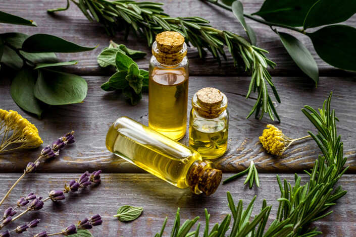 Aromatherapy. Essential oils in small bottles near fresh herbs on dark wooden background